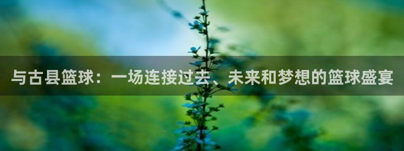 od体育下载